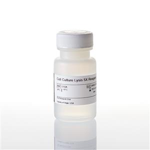 E1531 | Luciferase Cell Culture Lysis 5X Reagent