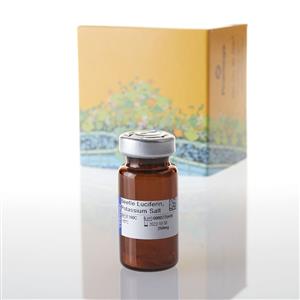 E1605 | Beetle Luciferin Potassium Salt