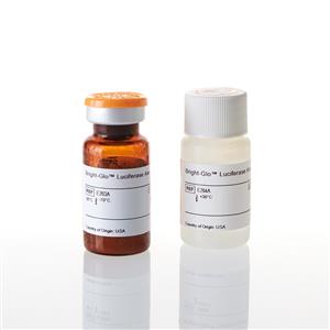E2610 | Bright Glo Luciferase Assay System