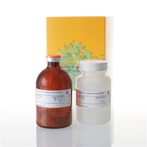 E2620 | Bright-Glo(TM) Luciferase Assay System