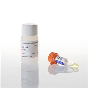 E2710 | Renilla Glo Luciferase Assay System