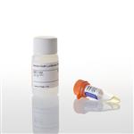 E2710 | Renilla Glo Luciferase Assay System