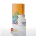 E2720 | Renilla-Glo(R) Luciferase Assay System