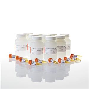 E2750 | Renilla Glo Luciferase Assay System