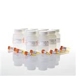 E2750 | Renilla Glo Luciferase Assay System
