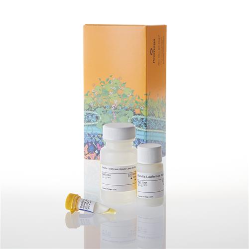 E2810 | Renilla Luciferase Assay System
