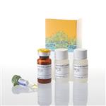 E2920 | Dual-Glo(R) Luciferase Assay System