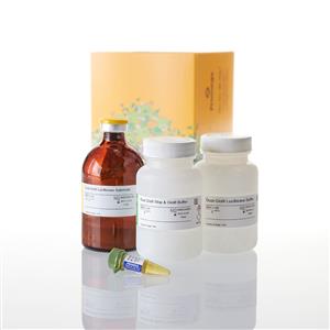 E2940 | Dual Glo Luciferase Assay System