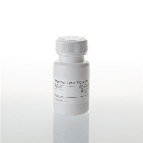 E3971 | Reporter Lysis 5X Buffer