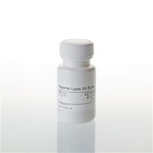 E3971 | Reporter Lysis 5X Buffer