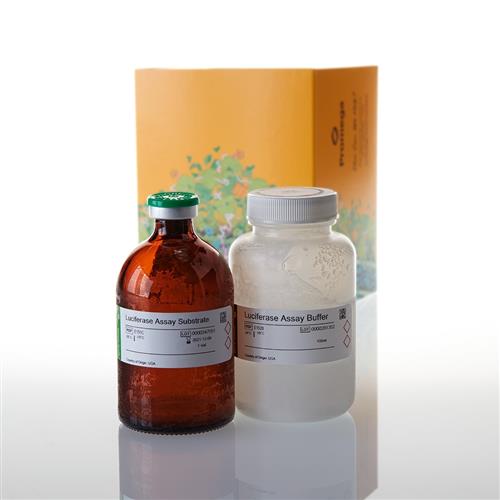 E4550 | Luciferase 1000 Assay System
