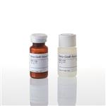 E4720 | Beta-Glo(R) Assay System