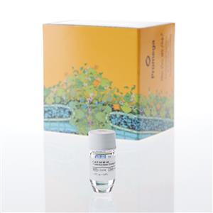 E5911 | FuGENE(R) 4K Transfection Reagent