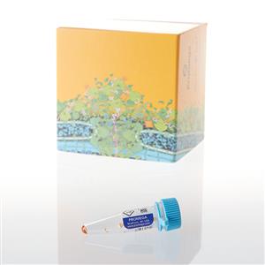 E6491 | ViviRen Live Cell Substrate