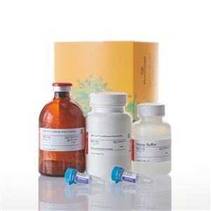 E7120 | ONE Glo Tox Luciferase Reporter and Ce