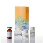 FF2000 | ENLITEN(R) ATP Assay System