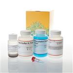 FF3750 | Wizard(R) Magnetic DNA Purification Sys for Food