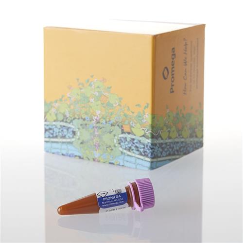 G1002 | HaloTag(R) Alexa Fluor(R) 488 Ligand