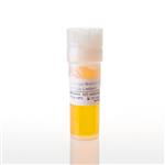 G3011 | ProMega Markers Lambda Ladders