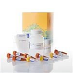 G3250 | DeadEnd(TM) Fluorometric TUNEL System