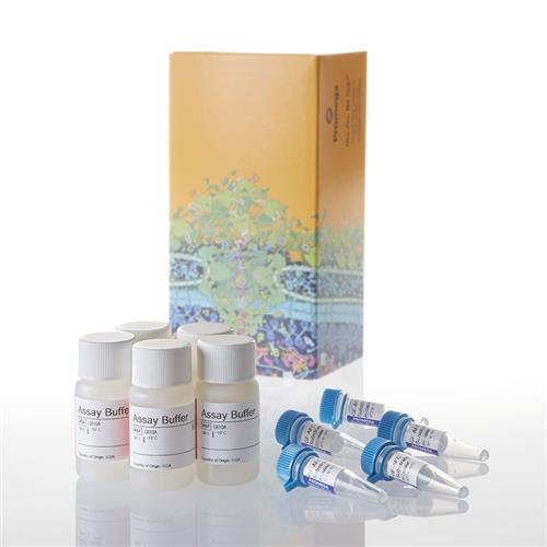 G6081 | CellTiter-Fluor(TM) Cell Viability Assay
