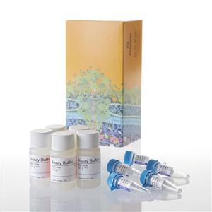 G6081 | CellTiter Fluor Cell Viability Assay