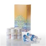 G6081 | CellTiter-Fluor(TM) Cell Viability Assay