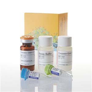 G6320 | ApoTox-Glo(TM) Triplex Assay