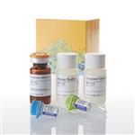 G6320 | ApoTox-Glo(TM) Triplex Assay
