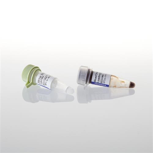 G6961 | 200bp DNA Step Ladder