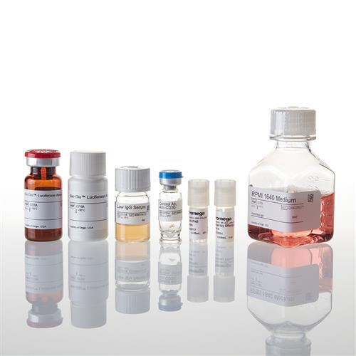 G7015 | ADCC Reporter Bioassay