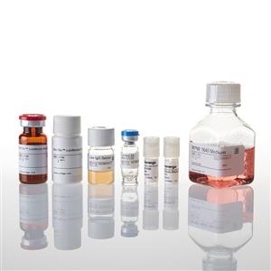 G7015 | ADCC Reporter Bioassay