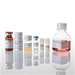 G7015 | ADCC Reporter Bioassay