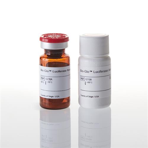 G7941 | Bio-Glo(TM) Luciferase Assay System