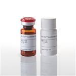 G7941 | Bio-Glo(TM) Luciferase Assay System