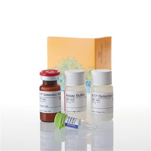 G8000 | Mitochondrial ToxGlo(TM) Assay 