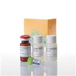 G8000 | Mitochondrial ToxGlo(TM) Assay 