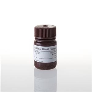 G8080 | CellTiter Blue Cell Viability Assay