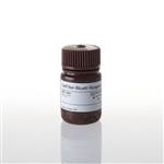 G8080 | CellTiter Blue Cell Viability Assay