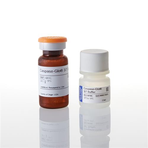 G8090 | Caspase-Glo(R) 3/7 Assay