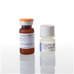 G8090 | Caspase-Glo(R) 3/7 Assay
