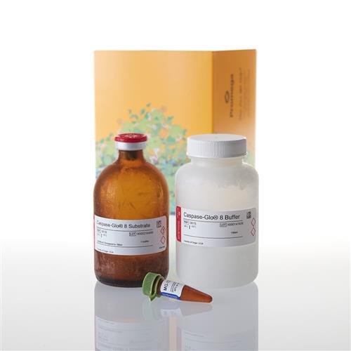G8202 | Caspase-Glo(R) 8 Assay