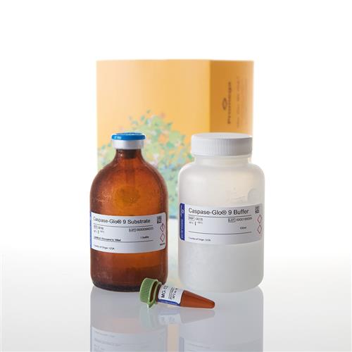 G8212 | Caspase-Glo(R) 9 Assay