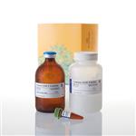 G8212 | Caspase-Glo(R) 9 Assay