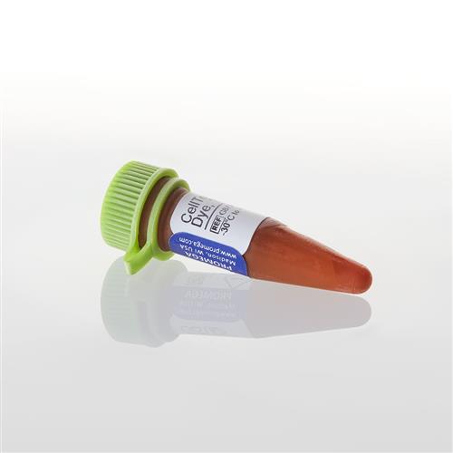 G8731 | CellTox(TM) Green Express Cytotoxicity Assay