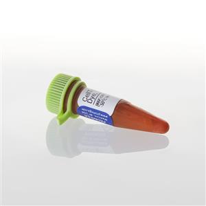 G8731 | CellTox(TM) Green Express Cytotoxicity Assay
