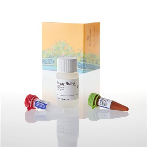 G8741 | CellTox(TM) Green Cytotoxicity Assay