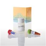 G8741 | CellTox(TM) Green Cytotoxicity Assay