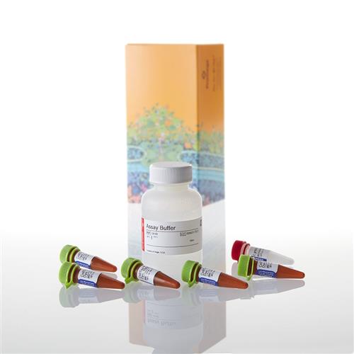 G8742 | CellTox(TM) Green Cytotoxicity Assay