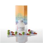 G8742 | CellTox(TM) Green Cytotoxicity Assay